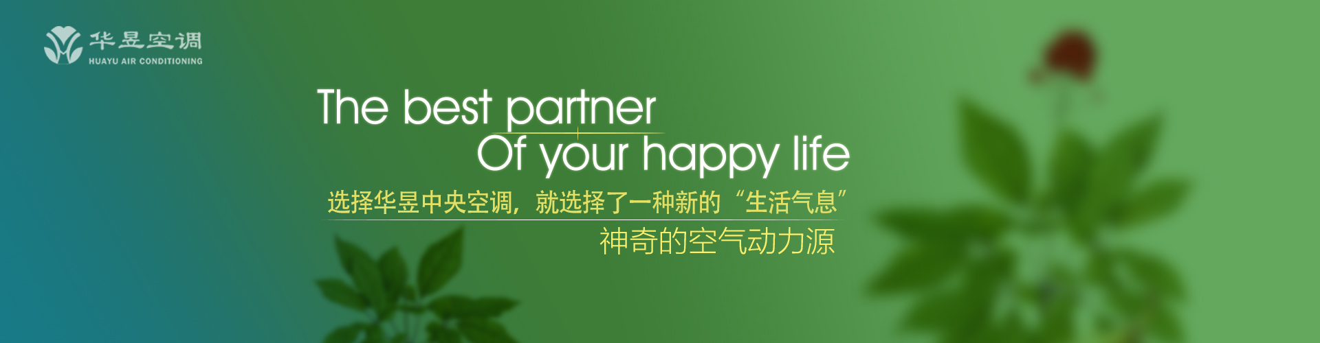 龙江虎浪网